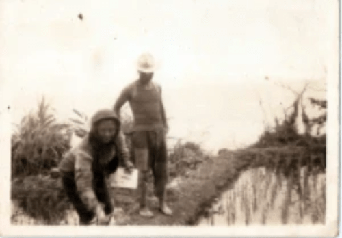 田貞女在高山森林基地梯田耕種 田貞女在高山森林基地梯田耕種