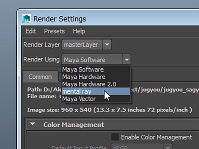 MAYA mental ray MAYA mental ray