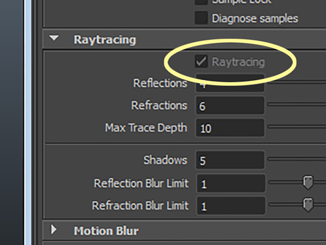 MAYA mental ray MAYA mental ray
