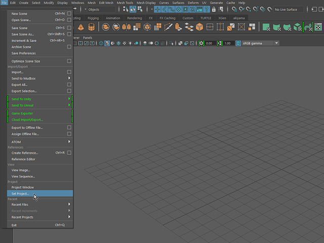 MAYA Set Project MAYA Set Project