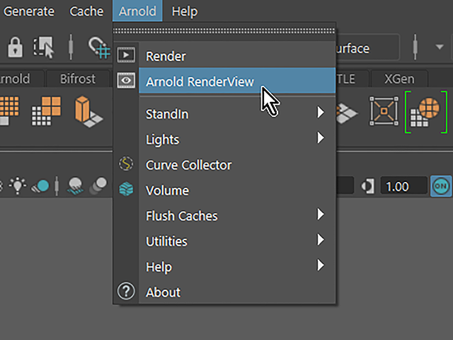 Maya2018 Arnold RenderView Maya2018 Arnold RenderView