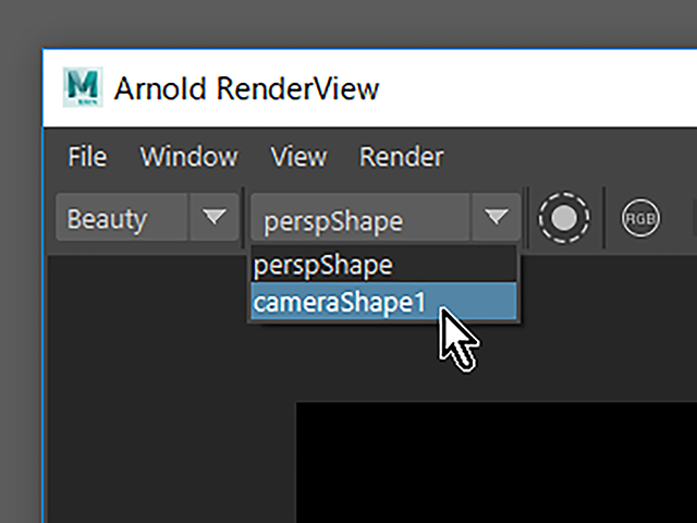 Maya2018 Arnold RenderView Maya2018 Arnold RenderView