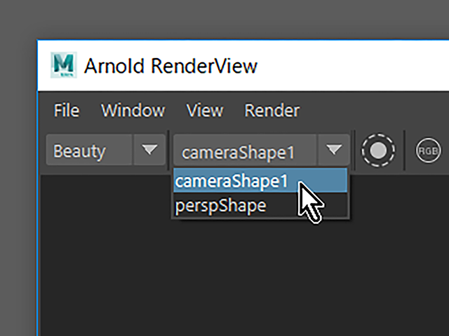 Maya2018 Arnold RenderView Maya2018 Arnold RenderView