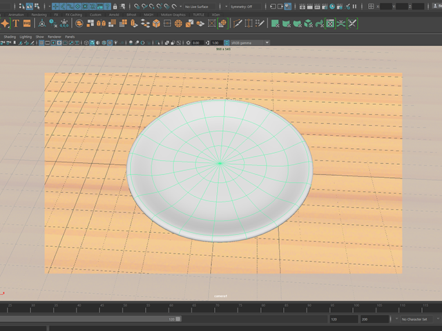 Maya2018 camera1 Maya2018 camera1