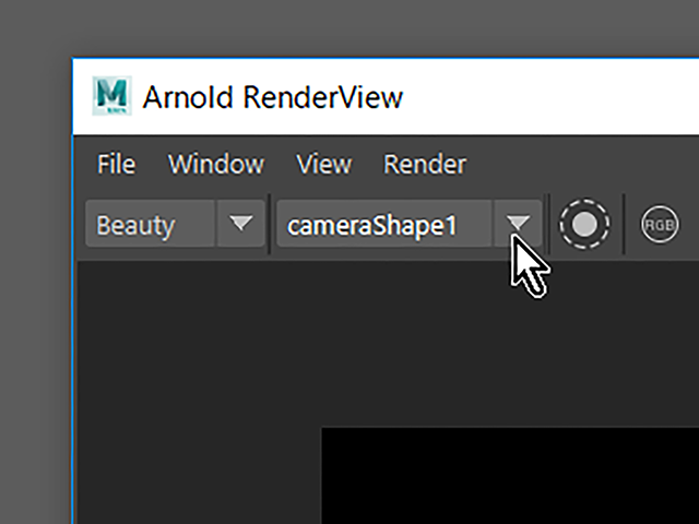 Maya2018 Arnold RenderView Maya2018 Arnold RenderView