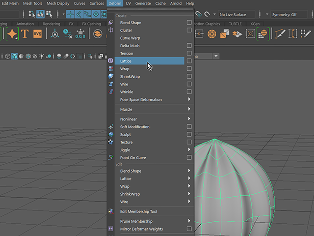 Maya2018 Lattice Maya2018 Lattice