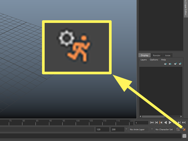MAYA Preferences MAYA Preferences