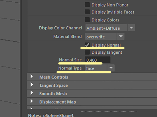 MAYA Display Normal MAYA Display Normal