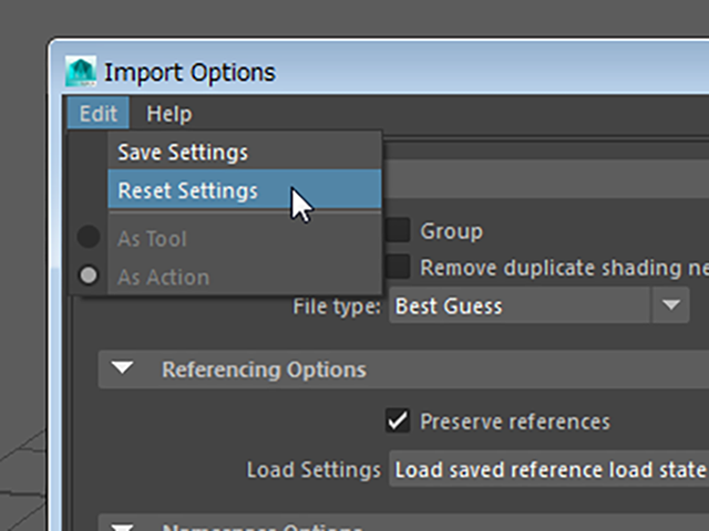 MAYA Import Options MAYA Import Options