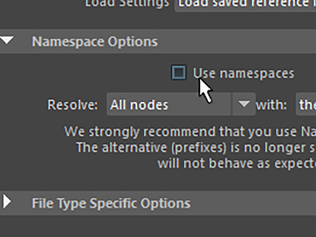 MAYA Import Options MAYA Import Options