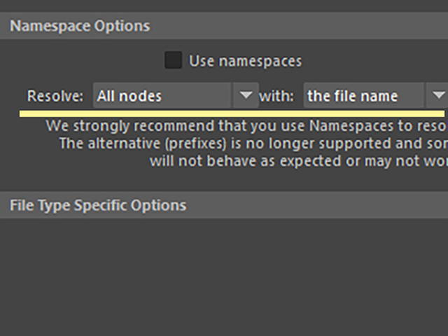 MAYA Import Options MAYA Import Options