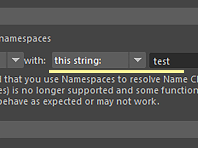 MAYA Import Options MAYA Import Options