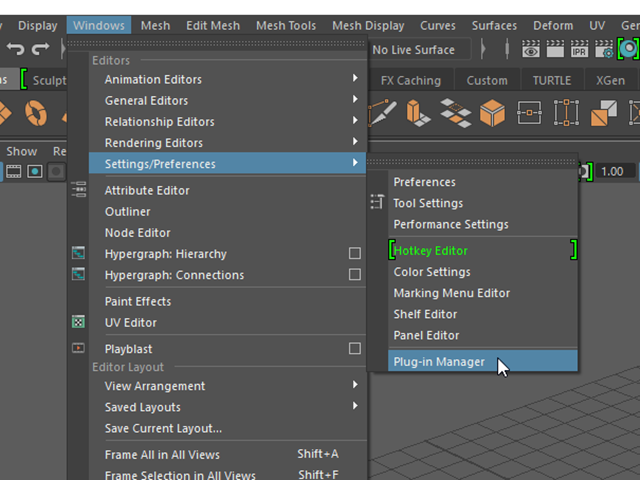 Windows→Settings/Preferences→Plug-in Manager Windows→Settings/Preferences→Plug-in Manager