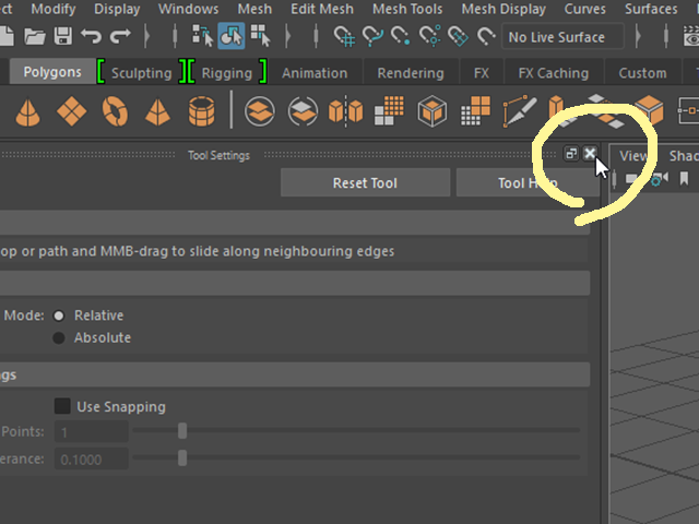 MAYA Tool Settings MAYA Tool Settings