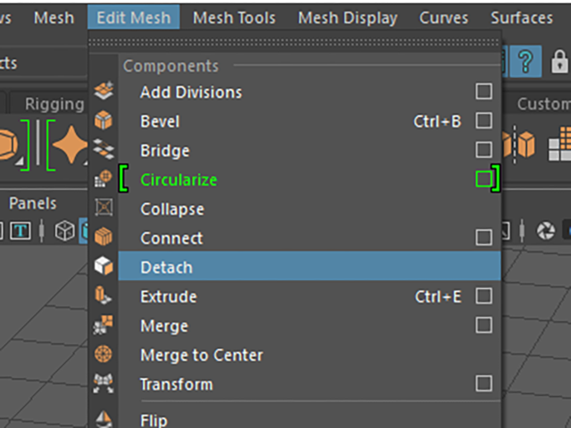 MAYA Detach MAYA Detach