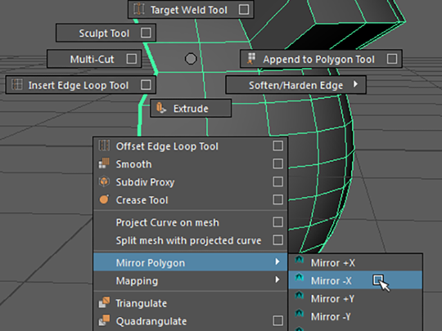 MAYA Mirror Polygon MAYA Mirror Polygon