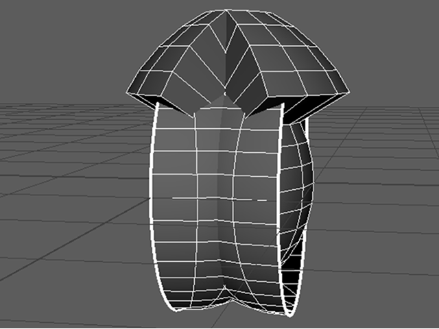 MAYA Mirror Polygon MAYA Mirror Polygon