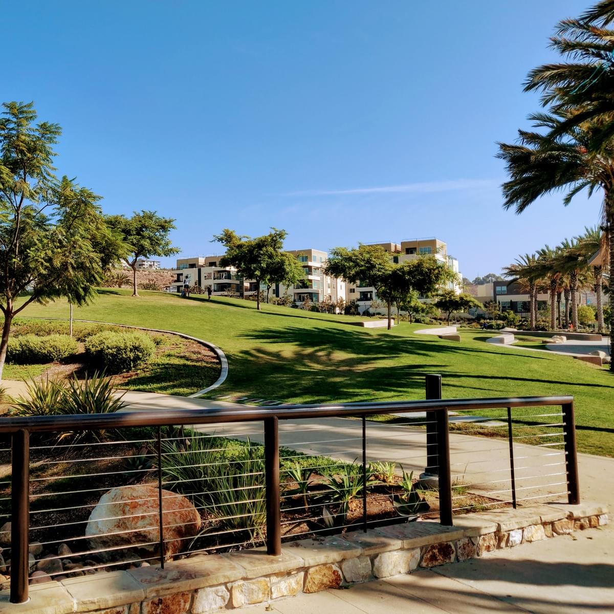 Civita Park with palm tree shadows Civita Park with palm tree shadows