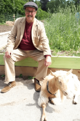 TWO OLD GOATS AT THE FARM TWO OLD GOATS AT THE FARM