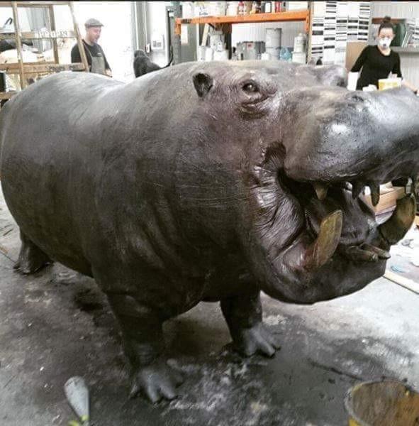 Hippopotamus model - Odyssey Studios model making, prothestics, props and more Hippopotamus model - Odyssey Studios model making, prothestics, props and more
