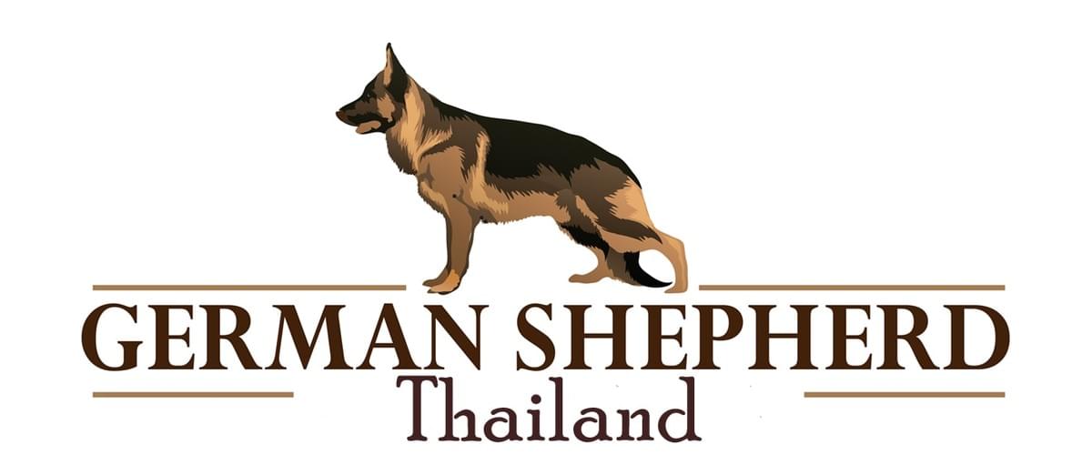 German Shepherd Thailand
