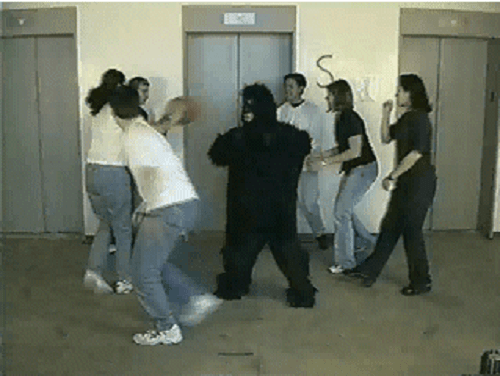 All of those people, intent on passing the basketball, missed the gorilla standing among them. All of those people, intent on passing the basketball, missed the gorilla standing among them.