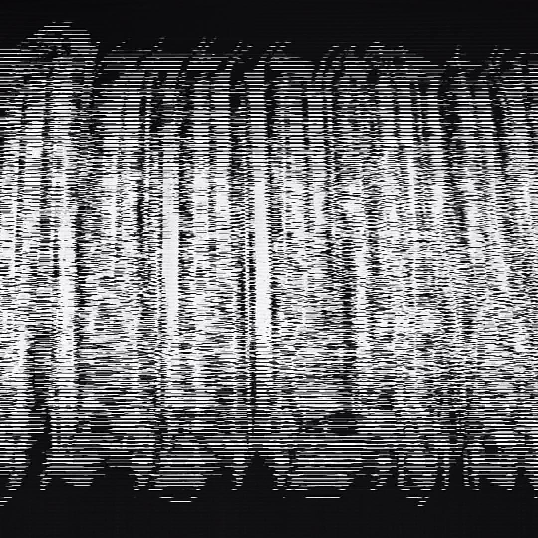 ©Fckn'Gns ©Fckn'Gns