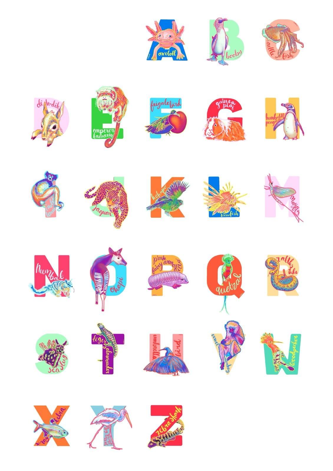 Illustrated alphabet, animals on letters Illustrated alphabet, animals on letters