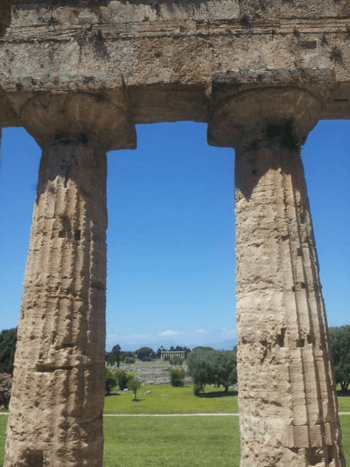 View from inside the temple of Neptune View from inside the temple of Neptune