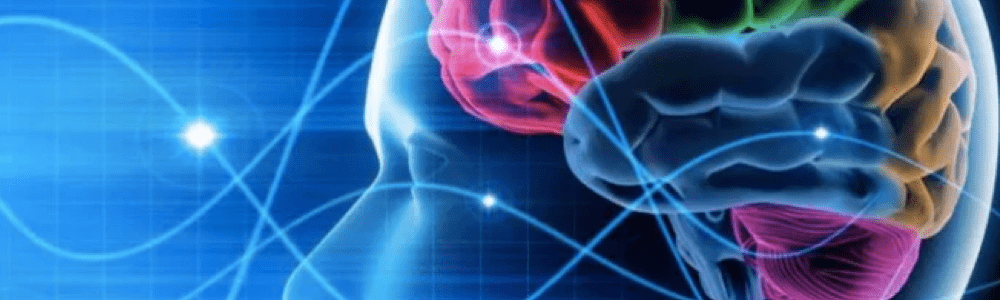 corina valdano personalidad cambiar cerebro psicología transpersonal corina valdano personalidad cambiar cerebro psicología transpersonal