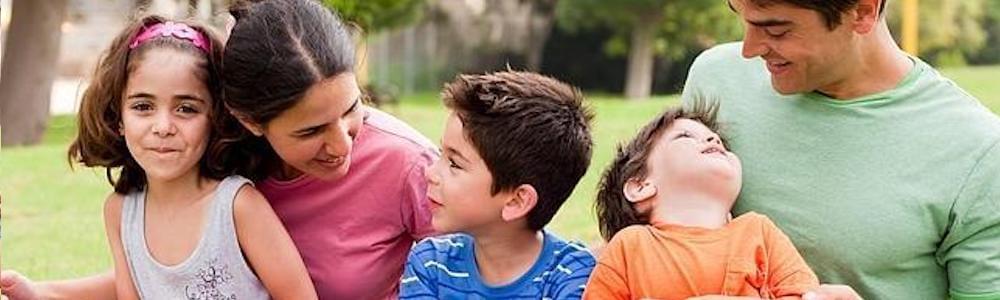 familia sí o familia no corina valdano familia sí o familia no corina valdano