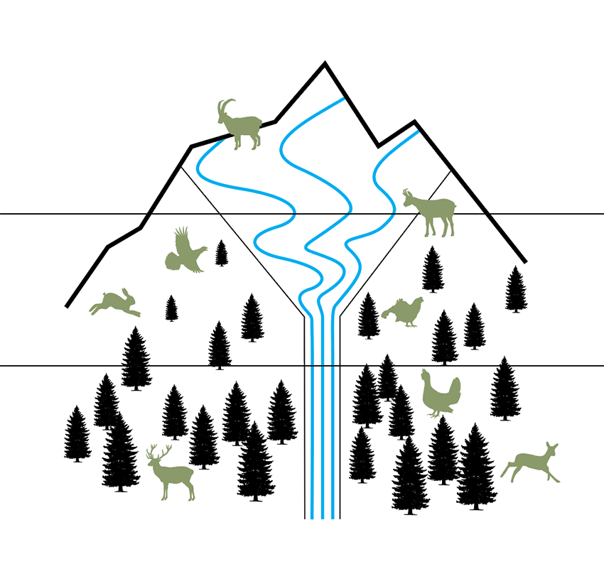 be part of the mountain lagoped funnel entonnoir be part of the mountain lagoped funnel entonnoir