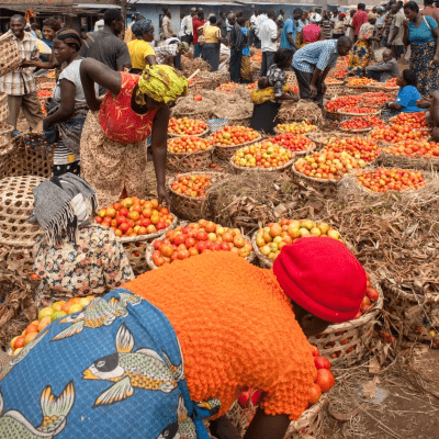 African women farmers selling fresh tomatoes in a crowded market African women farmers selling fresh tomatoes in a crowded market