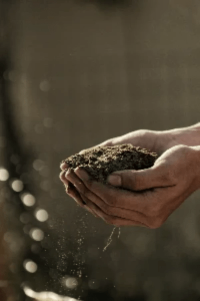 Bokeh Photo of hands holding soil by Gabriel Jimenez on Unsplash Bokeh Photo of hands holding soil by Gabriel Jimenez on Unsplash