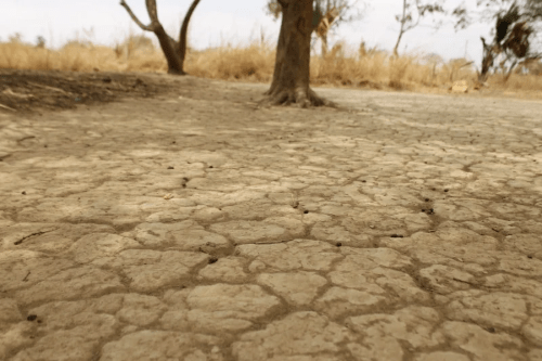 drought parched earth dry soil africa climate change drought parched earth dry soil africa climate change