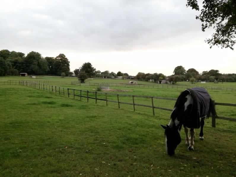 Stellavoce 高島まきのブログ。イギリス旅行記、エリオットゆかりさんと愛犬とのお散歩。 Stellavoce 高島まきのブログ。イギリス旅行記、エリオットゆかりさんと愛犬とのお散歩。