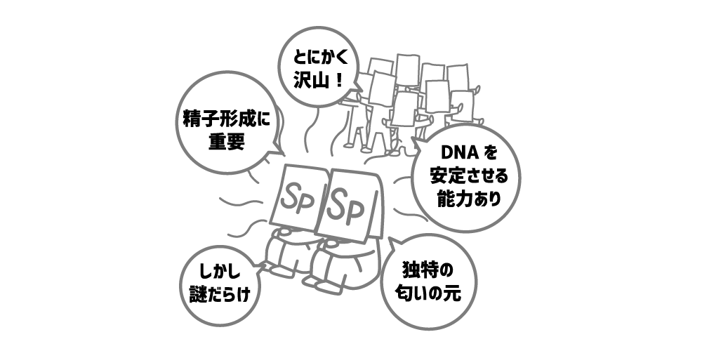 精液検査について 株式会社ダンテ 世界初 精液成分を検査するスタートアップ