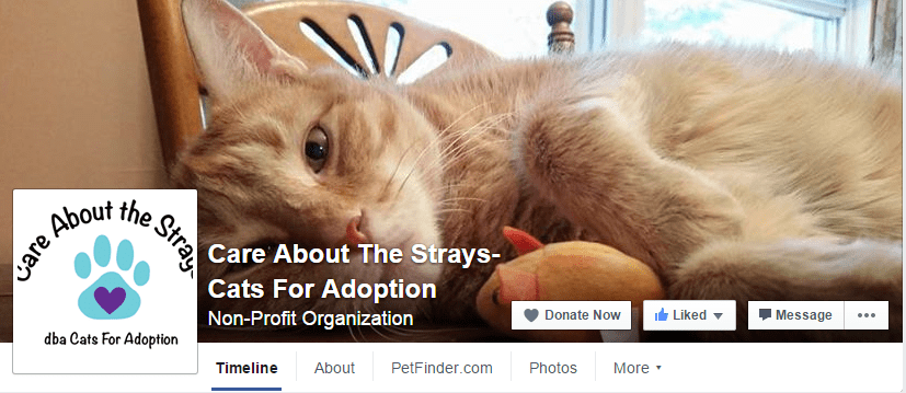 Facebook - Care About the Strays Facebook - Care About the Strays