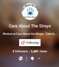 G+ for Care About the Strays G+ for Care About the Strays