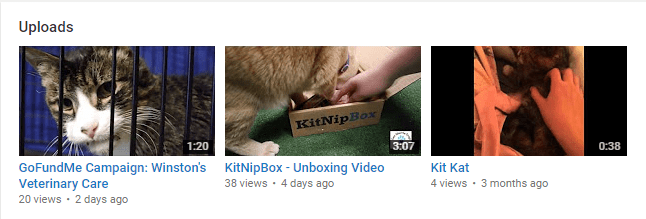 YouTube - Care About the Strays YouTube - Care About the Strays