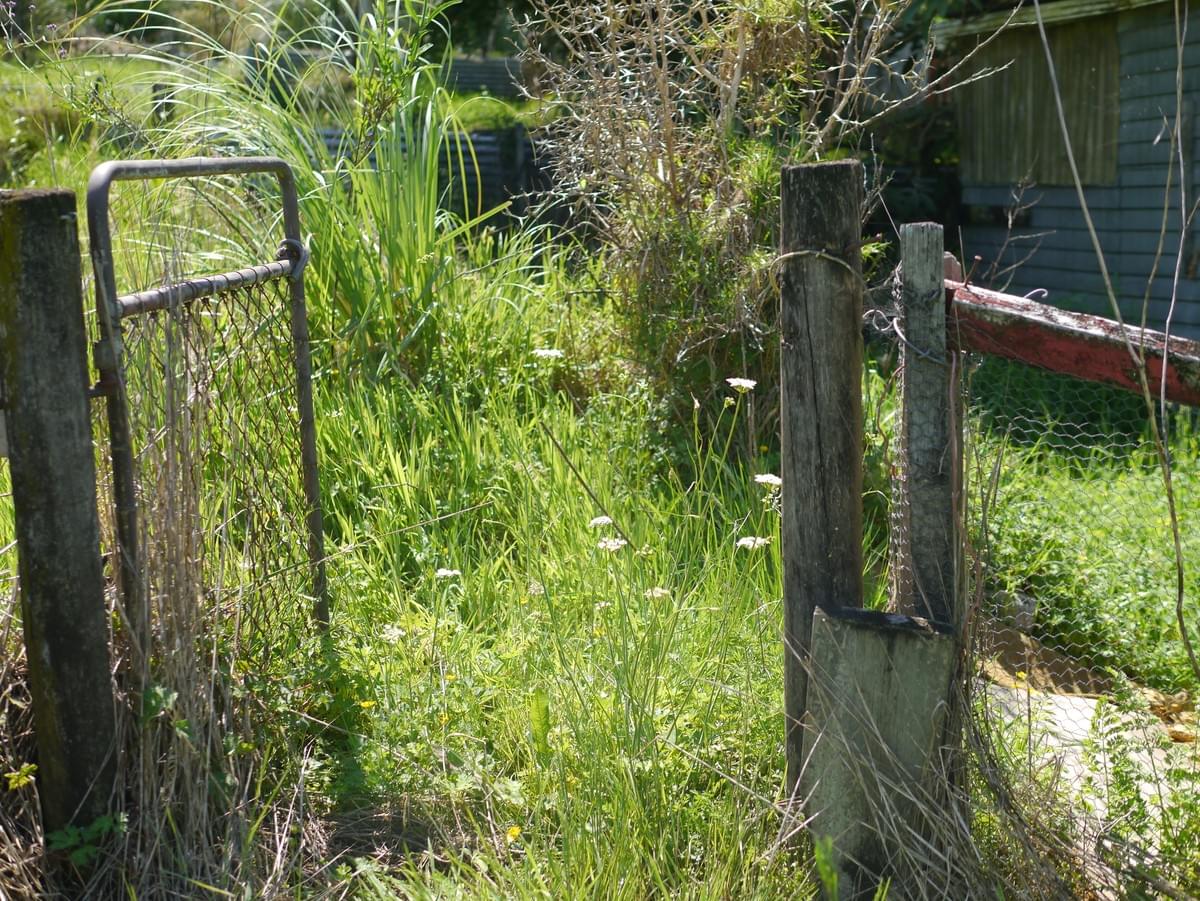 This was my garden ten years ago. The area to the right where the shed is was where I learnt to pop Dahlia's in with my potato crop. It was great. This was my garden ten years ago. The area to the right where the shed is was where I learnt to pop Dahlia's in with my potato crop. It was great.