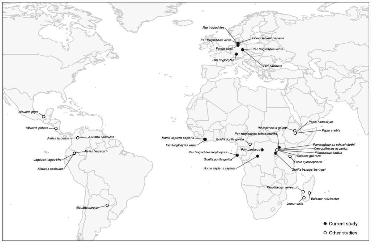 Figure 1: Map indicating locations where samples from superhost taxa included in the current study originated. Black circles indicate samples that were collected and sequenced as part of the current study, while white circles indicate superhost samples that were sequenced by others previously. Figure 1: Map indicating locations where samples from superhost taxa included in the current study originated. Black circles indicate samples that were collected and sequenced as part of the current study, while white circles indicate superhost samples that were sequenced by others previously.