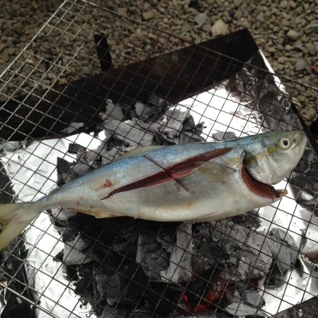 bbq bbq