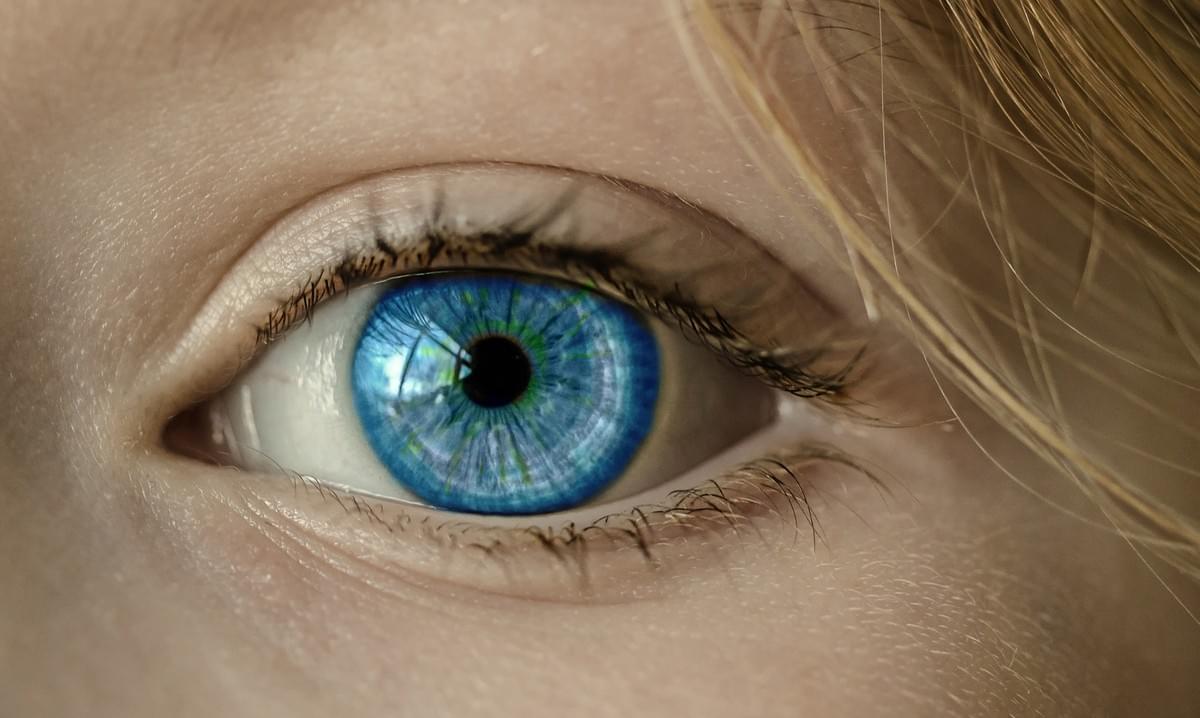 Eye VR kids Eye VR kids