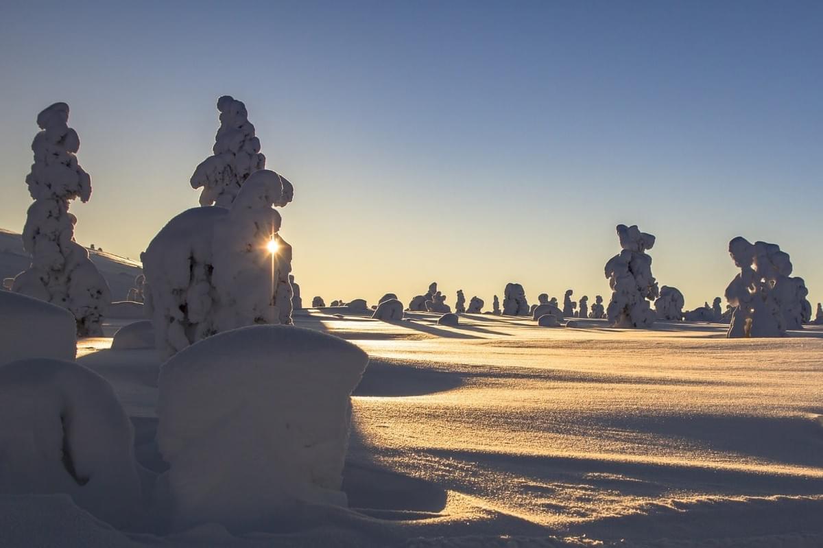 雪景色 雪景色