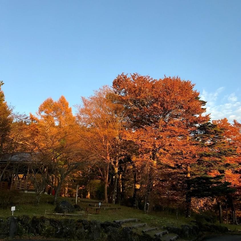 夕暮れ 夕暮れ
