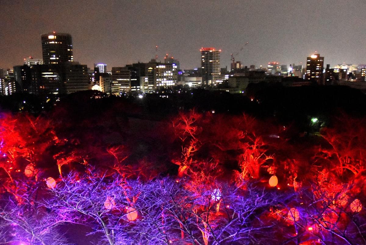夜景 構図 夜景 構図