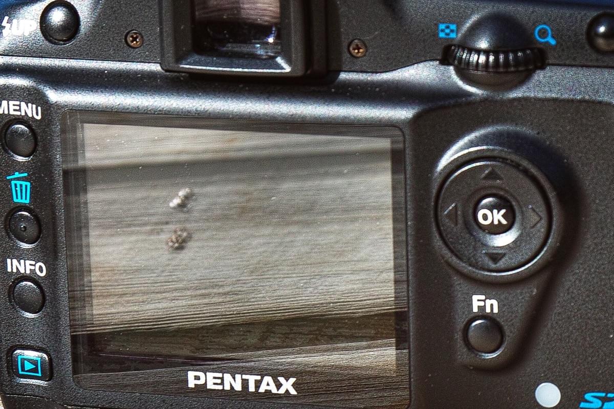 PENTAX *ist DS2 本体 背面液晶部 PENTAX *ist DS2 本体 背面液晶部