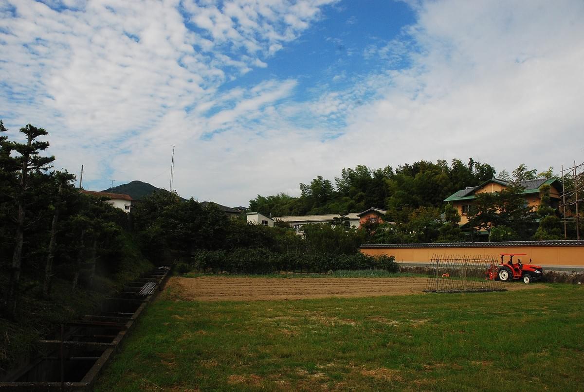 写真 露出1 写真 露出1