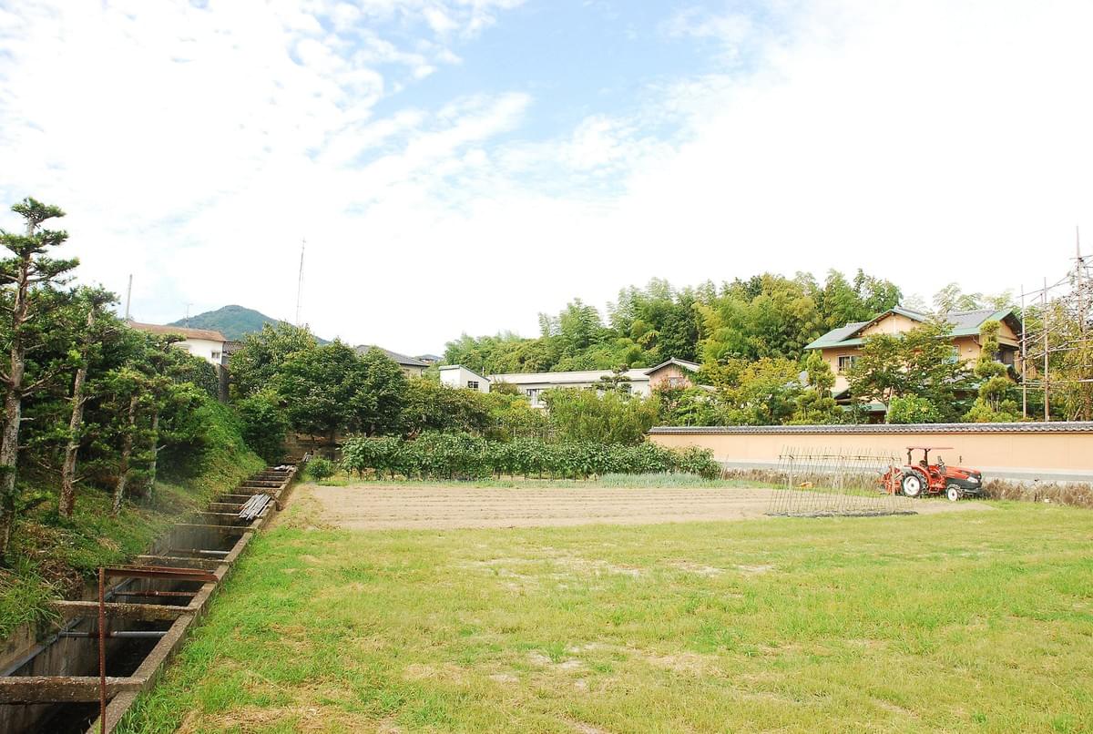 写真 露出④ 写真 露出④